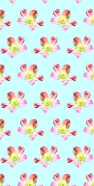 Renkli çiçek desenli arkaplan şablonu 