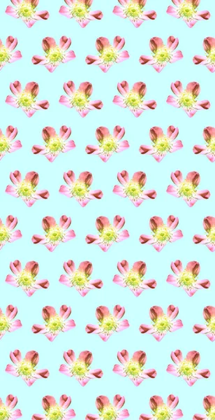 Kleurrijke Bloemen Patroon Achtergrond Sjabloon — Stockfoto