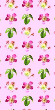 Duvar kağıdı, ambalaj kağıdı, arkaplan, kumaş, pembe güller ve yeşil yapraklar için desenli pastel çiçek tasarımı