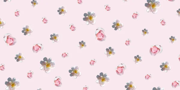 Pattern Colorful Pastel Floral Design Wallpaper Wrapping Paper Background Fabric — Stock Photo, Image