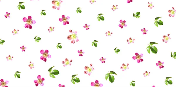 パターンカラフルなパステルの花壁紙 包装紙 ピンクのバラと緑の葉のためのデザイン — ストック写真