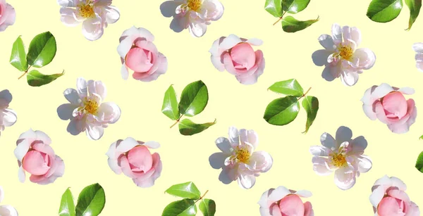 Padrão Colorido Pastel Floral Design Para Papel Parede Papel Embrulho — Fotografia de Stock