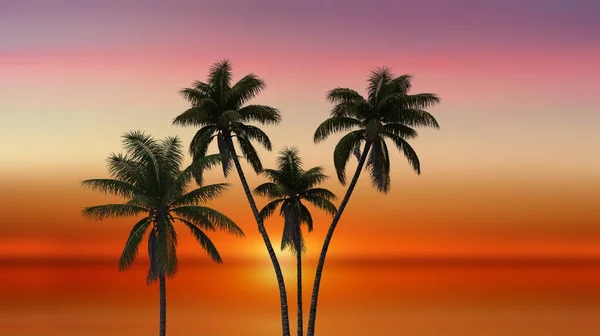 Palm Boom Strand Paraplu Oranje Zonsondergang Zee Zon Straal Reflectie — Stockfoto