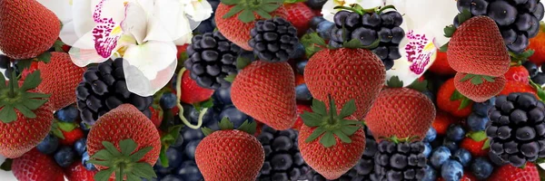 strawberry and blackberry background banner fruits and berry  vitamines healhy food vegan banner