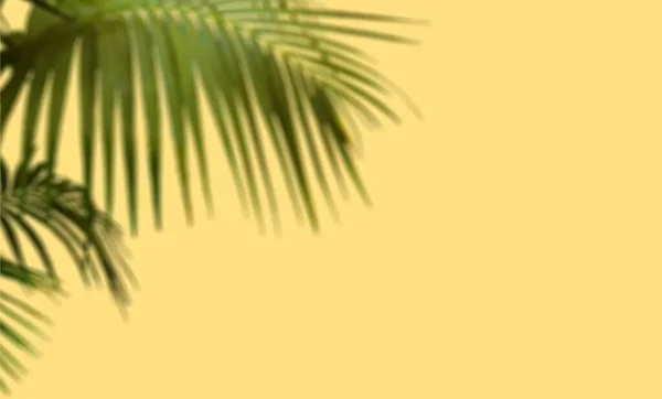 Zelená Palma Listy Stín Žluté Květy Pozadí Letní Šablona Kopírovat — Stock fotografie