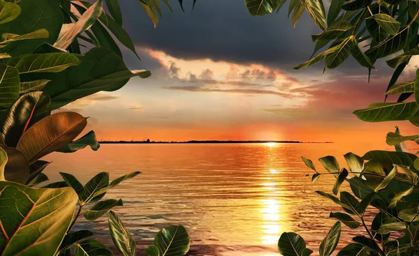 Dalgalarında Tropik Bitkilerde Gün Batımı Altın Yansıması Yaz Arkaplanından Doğayı — Stok fotoğraf