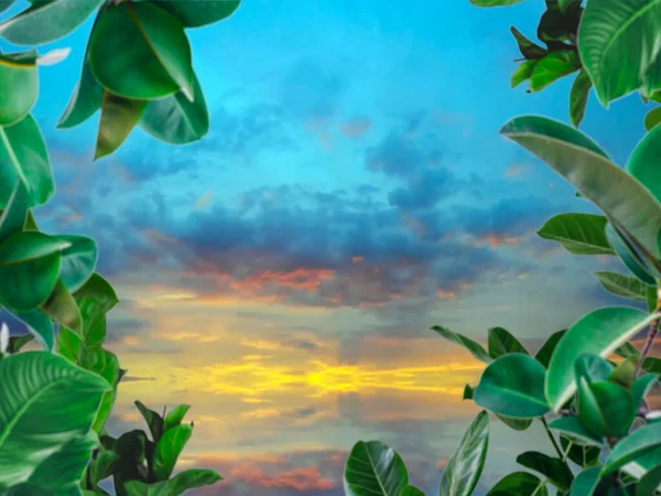 Azul Céu Branco Nuvens Verde Mar Água Respingo Folhas Tropicais — Fotografia de Stock