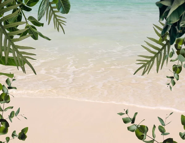Pláž Písek Zelenou Mořskou Vodou Tropické Rostliny Strom Růžové Bílé — Stock fotografie