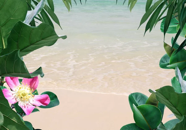 Arena Playa Con Agua Mar Verde Árbol Plantas Tropicales Flores — Foto de Stock