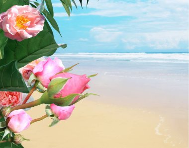 Akdeniz kumsalında yeşil deniz suyu ve tropikal bitki ağacı ve pembe beyaz çiçekler yaz arkaplanı, şablon, kopyalama alanı