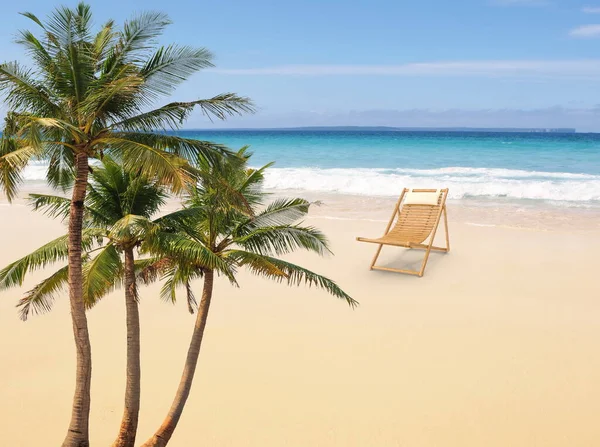 Plaj Sandalyesi Çiçekler Kumsal Ağacı Deniz Suyu Dalgalı Mavi Gökyüzü — Stok fotoğraf