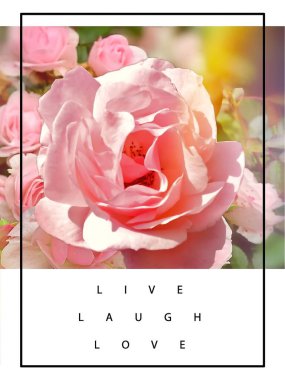  Pembe güller ama yeşil doğada arkaplan şablonu Sevgililer Günü kadınlarına selamlar 