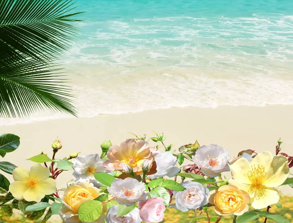 Trópusi Strand Fehér Homokkal Gyönyörű Virágok Pálmafák Türkiz Óceán Ellen — Stock Fotó