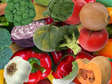 Çeşit çeşit çiğ sebzeler. Sağlıklı beslenme, diyet konsepti