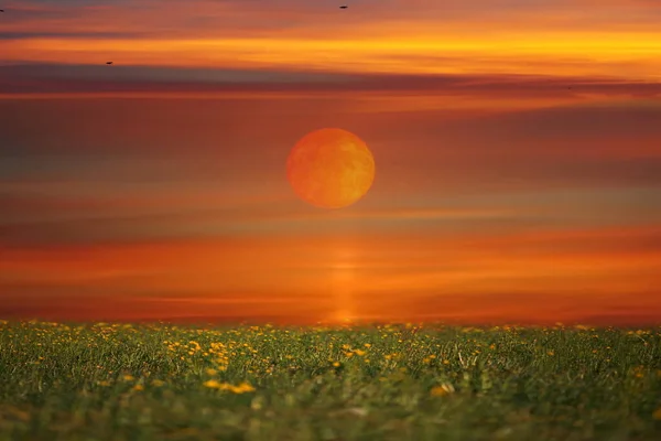 Ηλιοβασίλεμα Και Ήλιος Κάτω Θολό Δραματικό Βράδυ Κίτρινο Ροζ Σύννεφο — Φωτογραφία Αρχείου