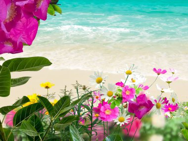 Mavi gökyüzü ve turkuaz deniz suyu beyaz kum ve yeşil tropikal bitki ve güzel kır çiçekleri tatil arka planı