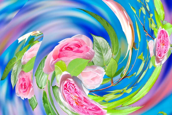 Kwiatowy Abstrakcyjny Design Pastelowy Tropikalny Jasny Fala Różowy Liliowy Niebieski — Zdjęcie stockowe