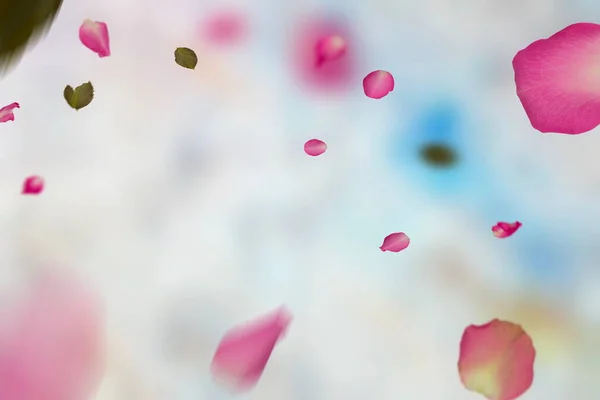 Fliegende Rosa Blütenblatt Auf Moderne Kunst Frühling Sommer Mode Pastell — Stockfoto