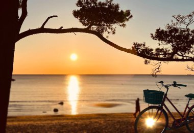  Deniz çam ormanlarında gün batımı ve plajda ağaç yakınında bisiklet, akşam manzarası Baltık güneş ışığı doğa manzarasının yaz sahili.