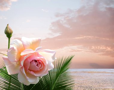   Pembe çiçekler ve yeşil palmiye yaprakları mavi deniz ve bulutlu gökyüzü manzarası, tropik plaj yaz tatilinde beyaz kumsalda su dalgaları