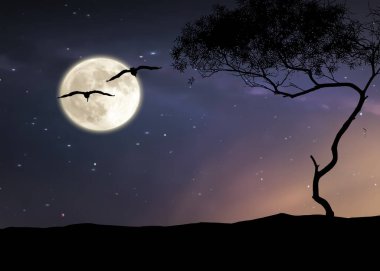  Dolunay ağaçlarının silueti ön gece yıldızlı gökyüzü ve ay dramatik manzara hava tahmini