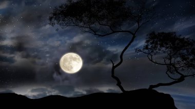  Dolunay ağaçlarının silueti ön gece yıldızlı gökyüzü ve ay dramatik manzara hava tahmini