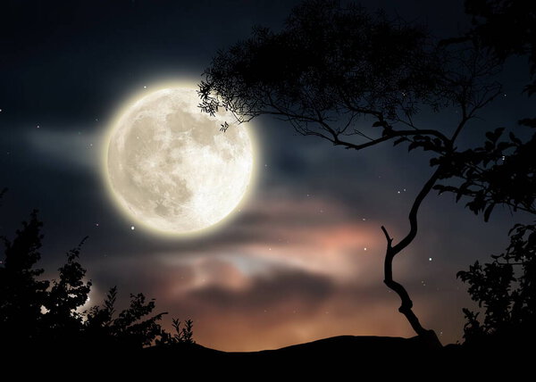 Full moon trees silhouette on front night starry sky and moon dramatic panorama nature weather forecast
