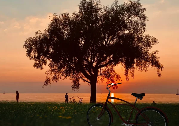 Evening Orange Sunset Sea Tree Silhouette People Watching Grass Pink — Stockfoto