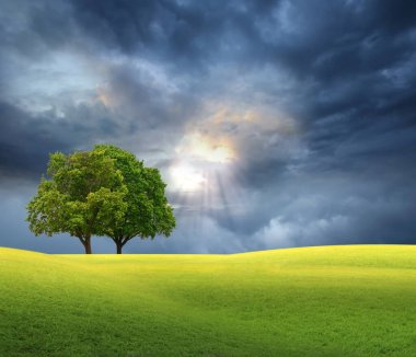 Bulutlu gökyüzü çayır tarlası ve tepenin üzerindeki ağaç yaban gülleri çalısı, güneş ışığı yaz arkaplanı
