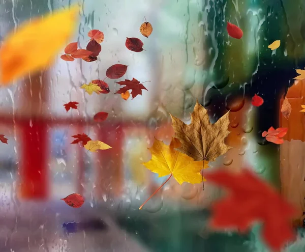 Autumn Leaves Rain Drops Window View Street Urban Scene Weather — Stockfoto