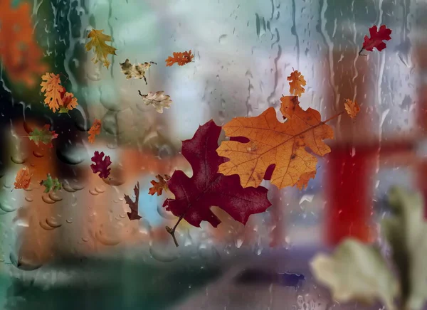Autumn Leaves Rain Drops Window View Street Urban Scene Weather — Stock Photo, Image