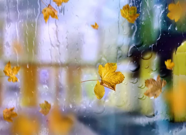 秋天的树叶和雨滴落在窗玻璃上 寒冷的雨季在大街上 黄昏模糊了城市的灯光反射着城市的景象 — 图库照片