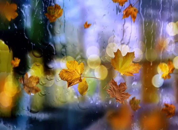 Herbst Blätter Und Regentropfen Auf Fenster Glas Kalte Regenzeit Auf — Stockfoto