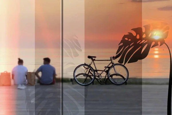 Plant Shadow Men Bike Sit Walk Promenade Watching Orange Sunset — Stockfoto