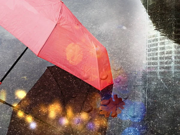 Yağmurlu Bir Akşam Şemsiyesi Asfaltta Asfalt Asfalt Sokak Yağmuru Bulanık — Stok fotoğraf