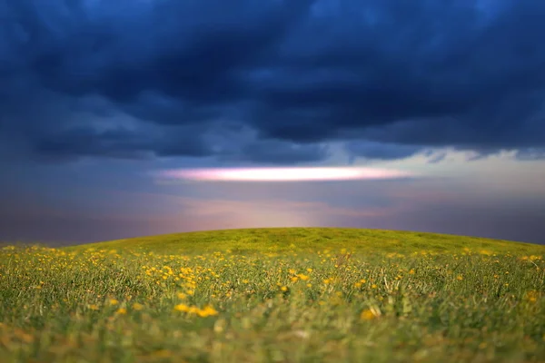 Groen Geel Weiland Met Bloemen Gras Blauw Troebel Goud Roze — Stockfoto