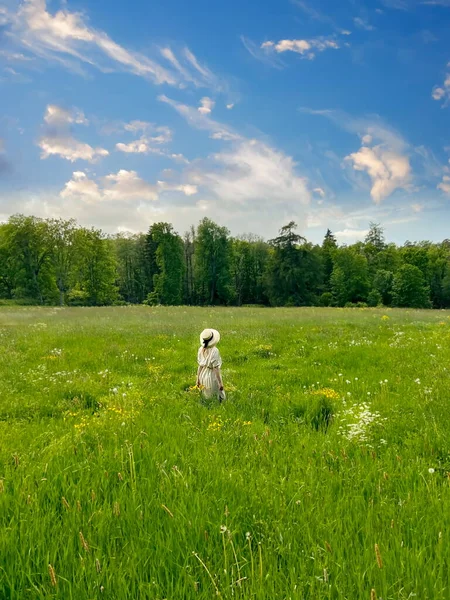草原フィールドと白い雲と花の黄色の花と明るい空と野生のフィールド上のスタイリッシュな女性夏の自然景観 緑の草ハーブ田舎のライフスタイルシーン — ストック写真