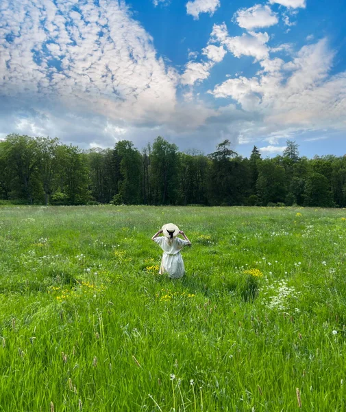  Çayır tarlası ve vahşi tarlada çiçekli sarı çiçekler ve beyaz bulutlu parlak gökyüzü yaz manzarası, yeşil otlar kırsal yaşam tarzı manzarası 