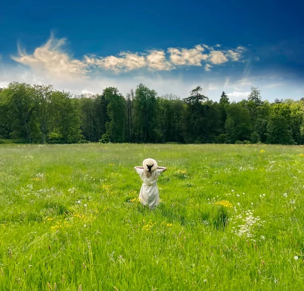  Çayır tarlası ve vahşi tarlada çiçekli sarı çiçekler ve beyaz bulutlu parlak gökyüzü yaz manzarası, yeşil otlar kırsal yaşam tarzı manzarası 