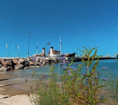  Yaz denizi ve gökyüzü turkuvaz mavi taştan kaya ve limanda yabani çiçekler ufukta balıkçı teknesi deniz manzarası