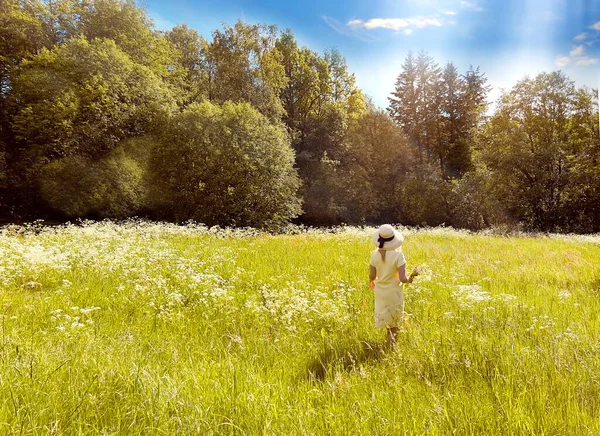 women on wild field  in straw hat with flowers walk in meadow  forest at sunny day blue sky nature landscape