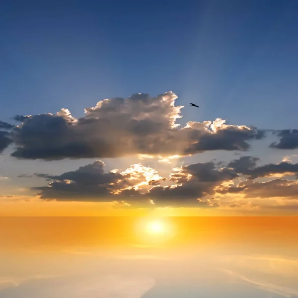 Sommer Licht Gold Orange Rosa Sonnenuntergang Dramatisch Bewölkt Blauer Himmel — Stockfoto