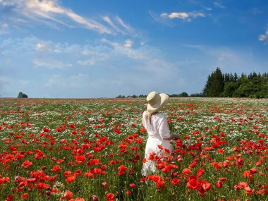  Kırmızı haşhaş ve papatya çiçekleri ile vahşi tarlada şapkalı, mavi bulutlu gökyüzü manzaralı bir kadın.