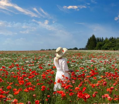  Kırmızı haşhaş ve papatya çiçekleri ile vahşi tarlada şapkalı, mavi bulutlu gökyüzü manzaralı bir kadın.