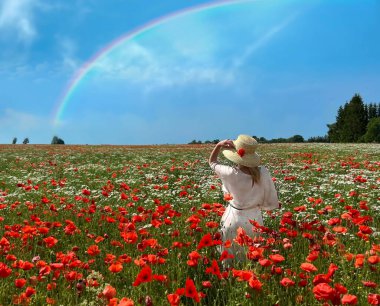 Kırmızı gelincik ve papatya çiçekleriyle vahşi sahada zarif bir kadın gökkuşağı mavi gökyüzü manzarası