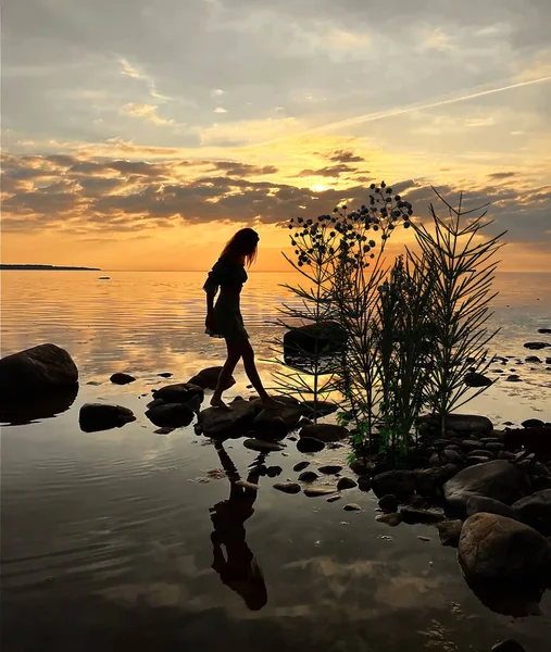 sunset at sea wild beach plant and young woman silhouette on horizon sea water reflection and cloudy pink skt nature landcsape