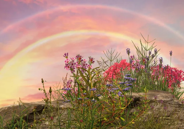 beautiful landscape  at sea wild flowers and pink  sunset  cloudy sky meadow field  nature background