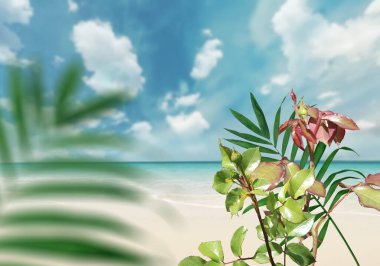  blue  tropical sky Mediterranean Sea with greeb plant palm flowers  beautiful nature background template copy space 