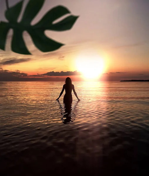 woman on sunset at sea ,romantic  girl  silhouette at orange sunset in the sea water wave and pink cloudy sky  with tropical plant shadow nature landscape  background