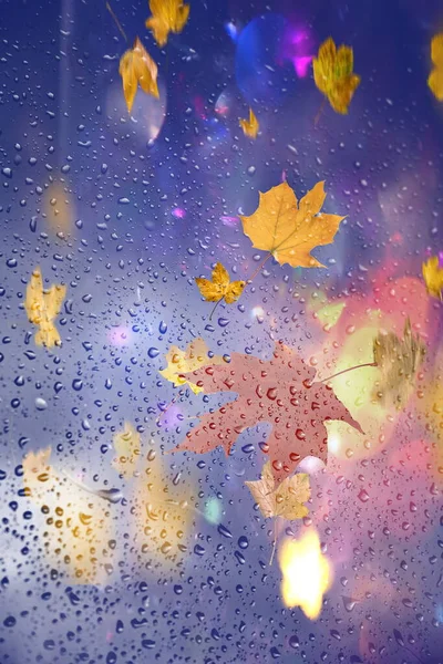 Autumn Leaves Rain Drops Window Glass Bokeh Street Evening Light — Stockfoto